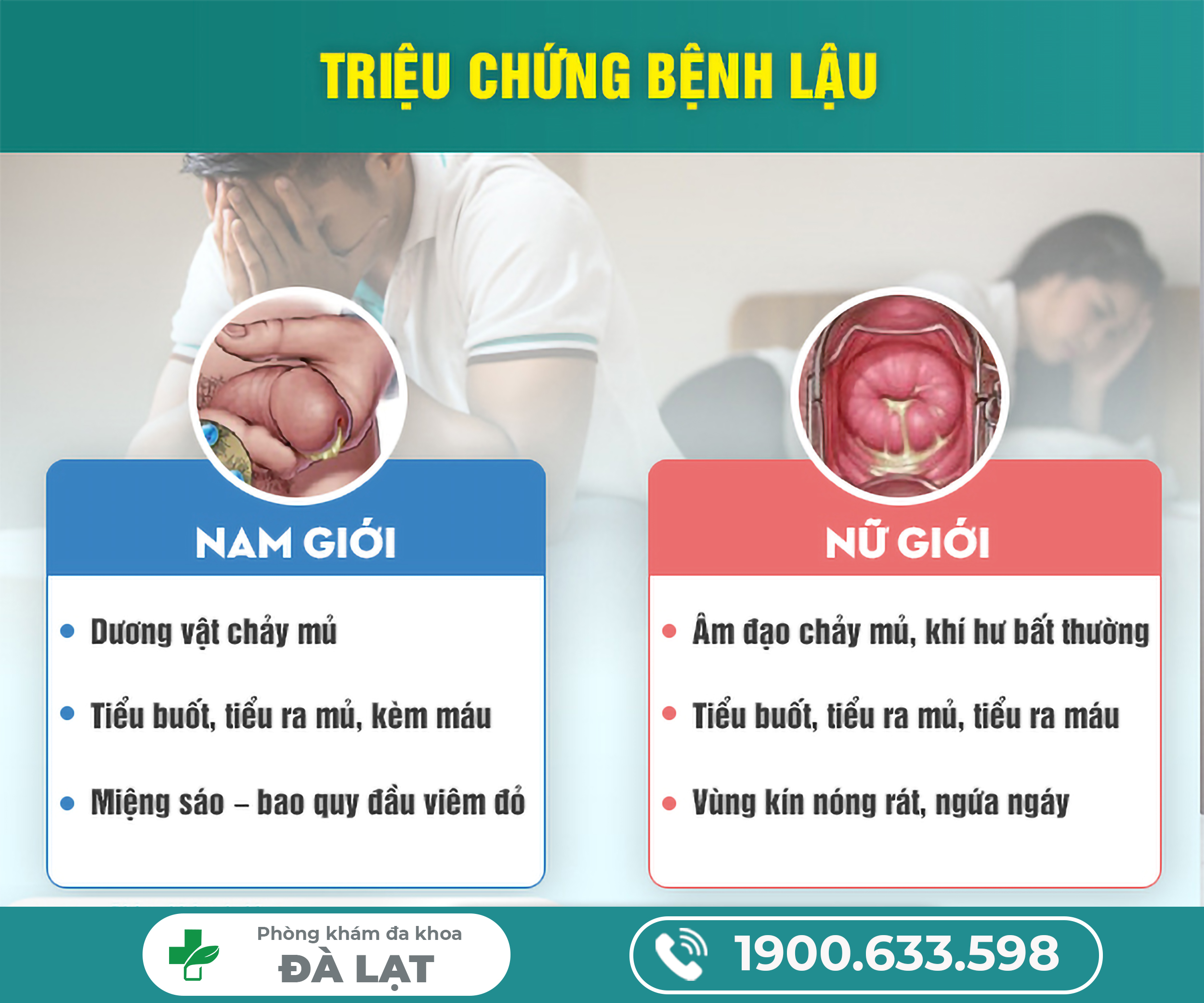 NHẬN DIỆN HÌNH ẢNH VỀ HẠT NGỌC Ở DƯƠNG VẬT