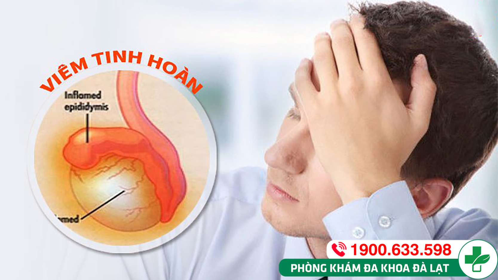 BIỂU HIỆN CỦA VIÊM TINH HOÀN