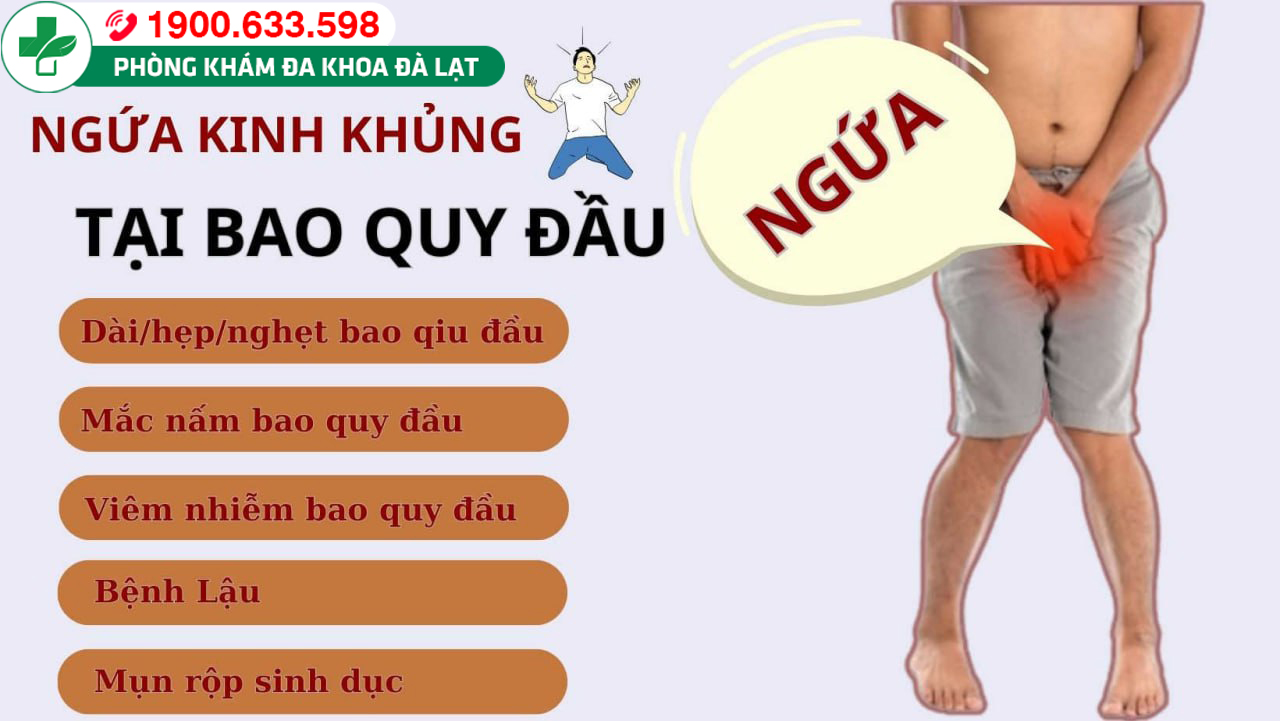 NGỨA BAO QUY ĐẦU BỆNH GÌ