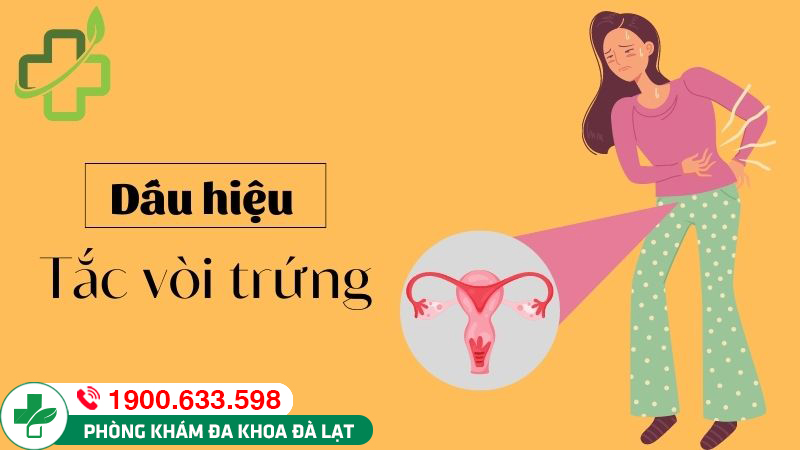 Tắc vòi trứng là gì? Dấu hiệu bệnh lý