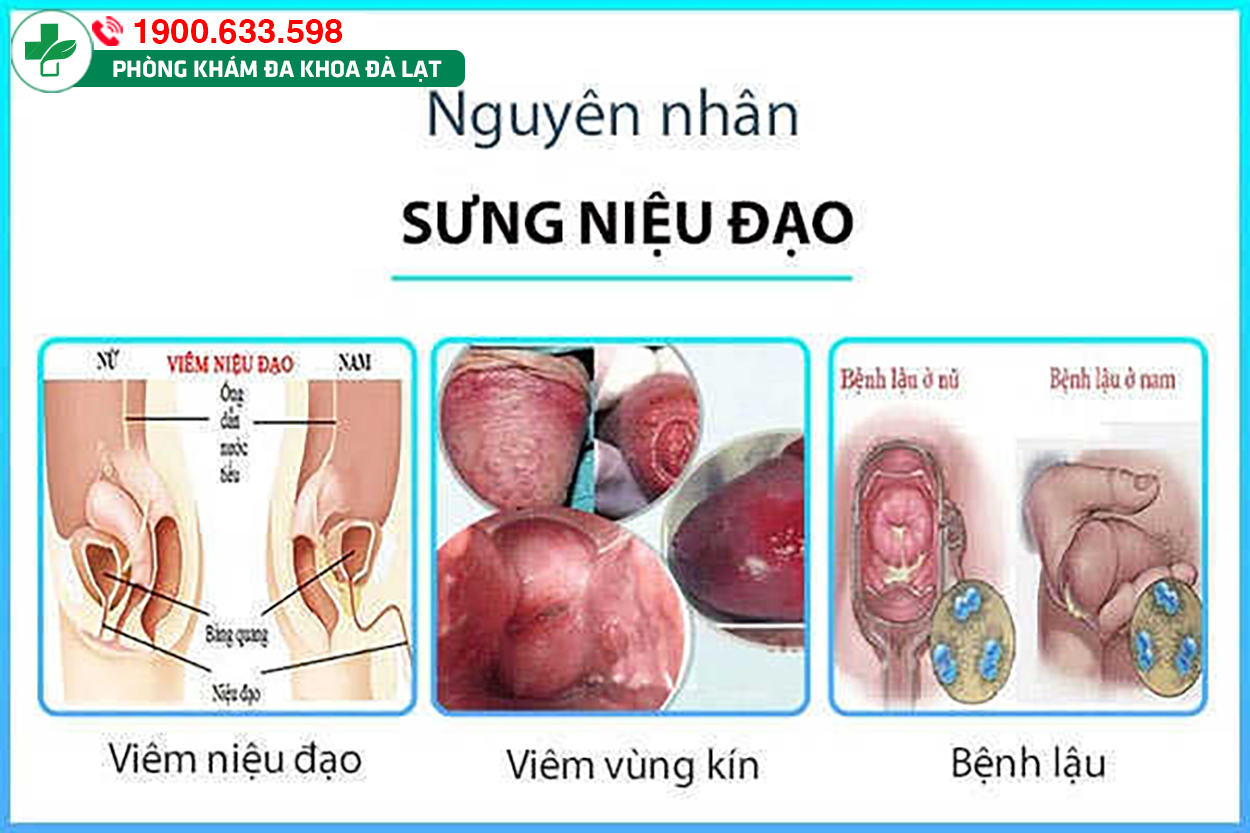 Block Image