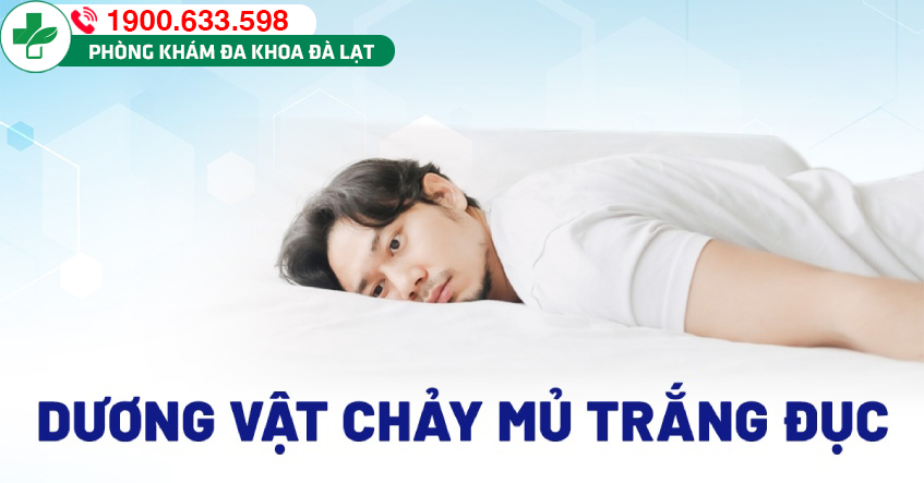 Những điều cần biết về tình trạng dương vật chảy mủ trắng đục
