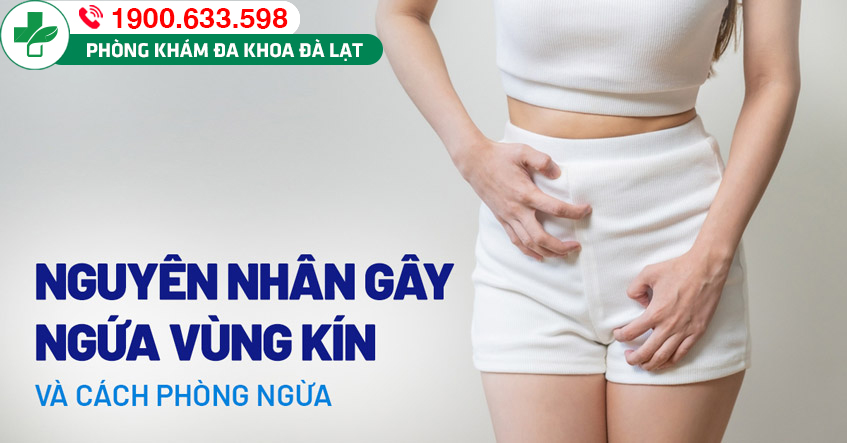 Ngứa âm hộ - “báo động đỏ” cho những bệnh lý phụ khoa nguy hiểm