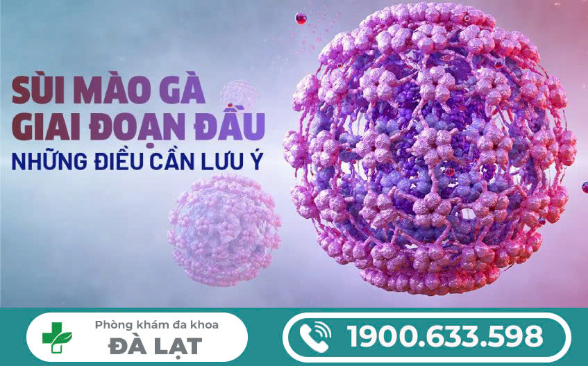 PHÒNG KHÁM ĐA KHOA ĐÀ LẠT - TÌM HIỂU VỀ TRIỆU CHỨNG CỦA SÙI MÀO GÀ