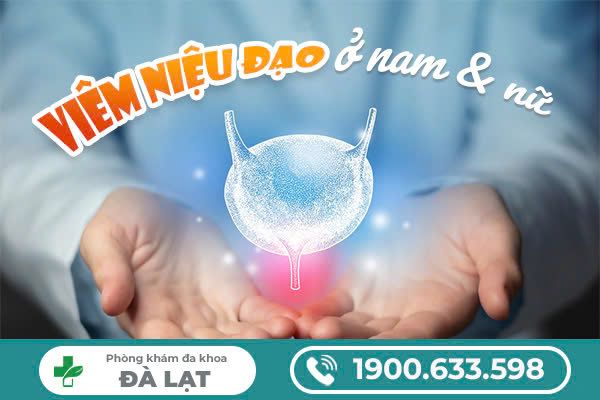 Bị viêm đường tiết niệu có mủ – dấu hiệu chớ được xem thường
