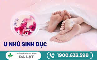                                       U NHÚ SINH DỤC LÀ GÌ