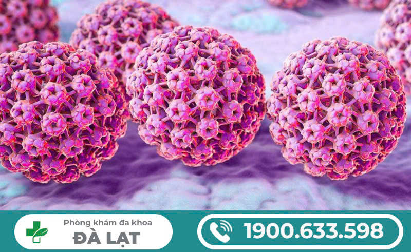 TÌM HIỂU VỀ HPV