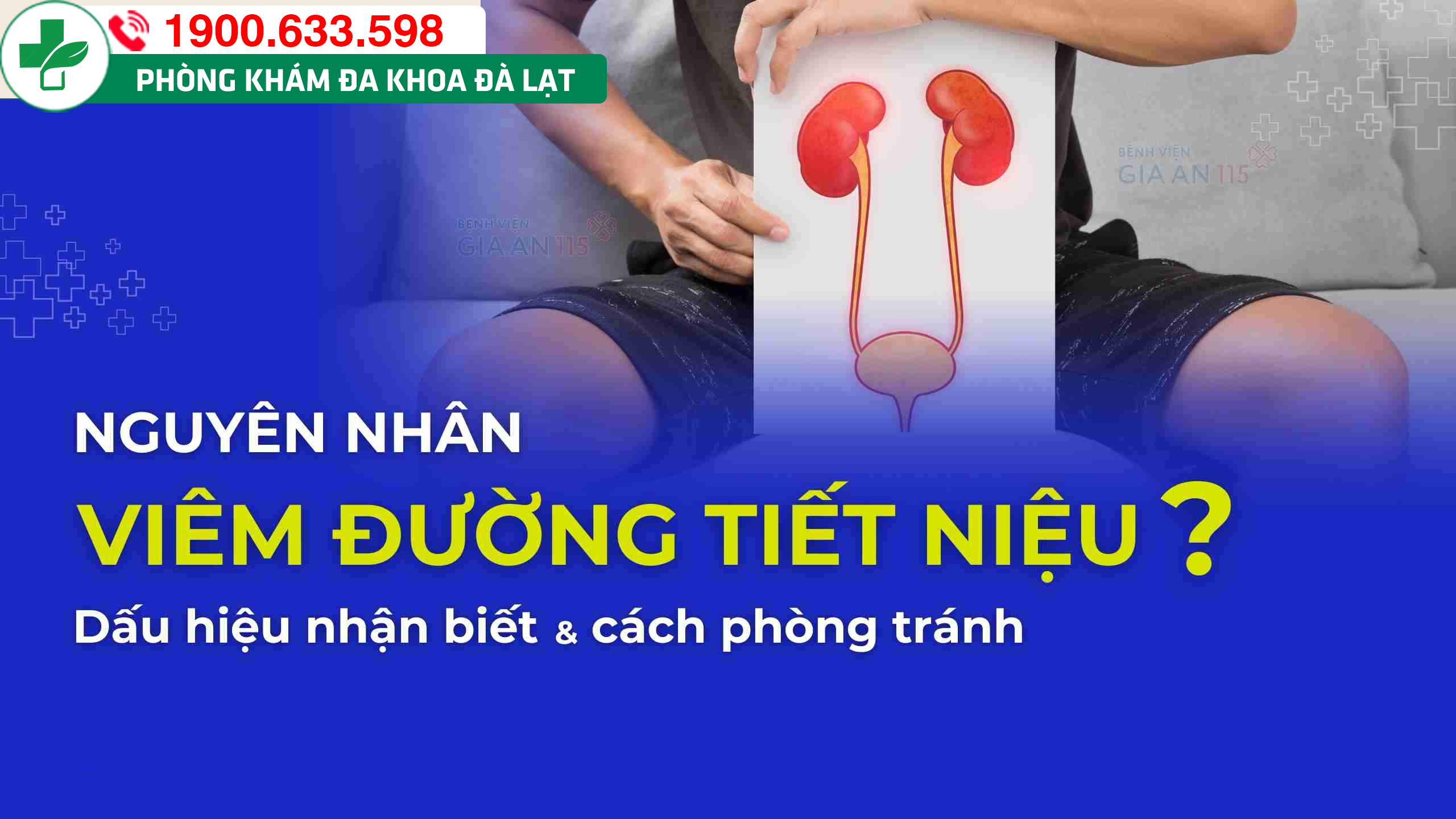 TỔNG QUÁT VỀ VIÊM ĐƯỜNG TIẾT NIỆU