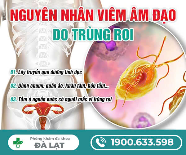 VIÊM ÂM ĐẠO DO TRÙNG ROI LÀ GÌ?