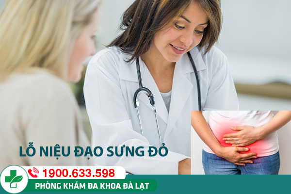 Lỗ niệu đạo bị sưng đỏ do đâu và cách điều trị