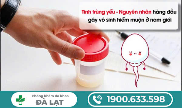 XÉT NGHIỆM KIỂM TRA TINH TRÙNG