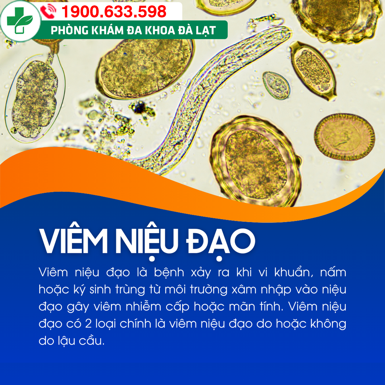 TRIỆU CHỨNG ĐIỂN HÌNH CỦA VIÊM NIỆU ĐẠO Ở NAM VÀ NỮ