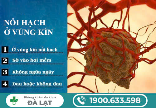 PHÒNG KHÁM ĐA KHOA ĐÀ LẠT - CHUYÊN KHÁM VÀ ĐIỀU TRỊ NỔI HẠCH Ở VÙNG KÍN Nữ GIỚi