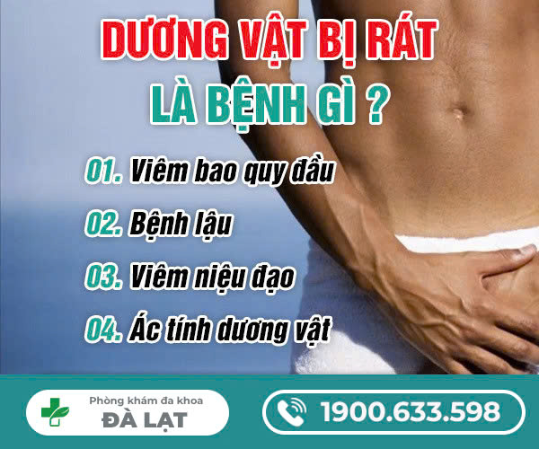 LÝ GIẢI: DƯƠNG VẬT BỊ RÁT NGUYÊN NHÂN DO ĐÂU?