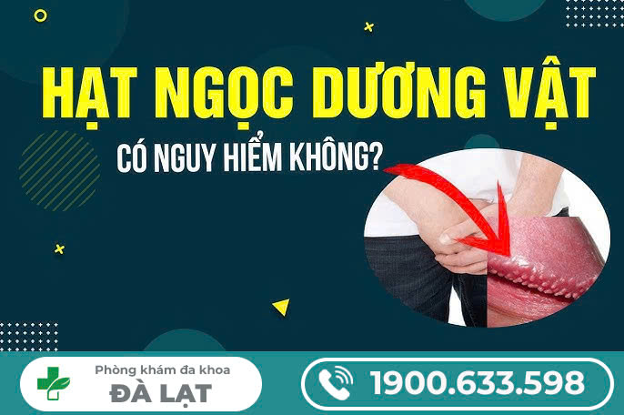 NỔI HẠT VÙNG KÍN ( NAM & NỮ)