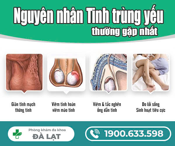CÁCH CHỮA BỆNH TINH TRÙNG YẾU