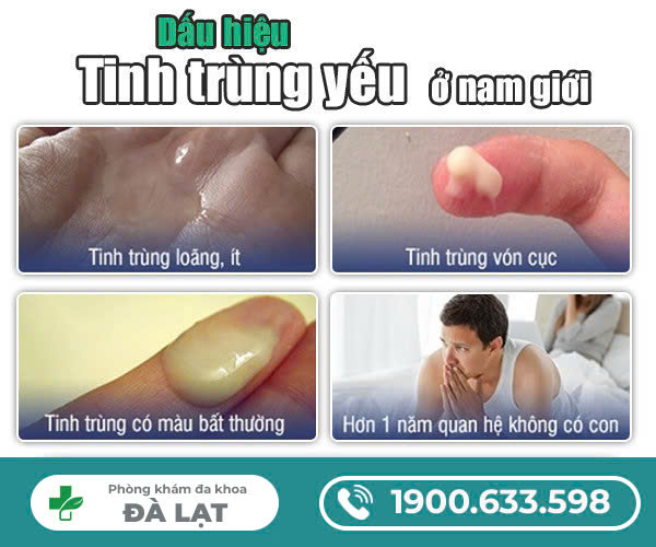 TINH TRÙNG YẾU VÀ LOÃNG
