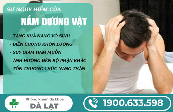 NẤM DƯƠNG VẬT CÓ NGUY HIỂM KHÔNG?