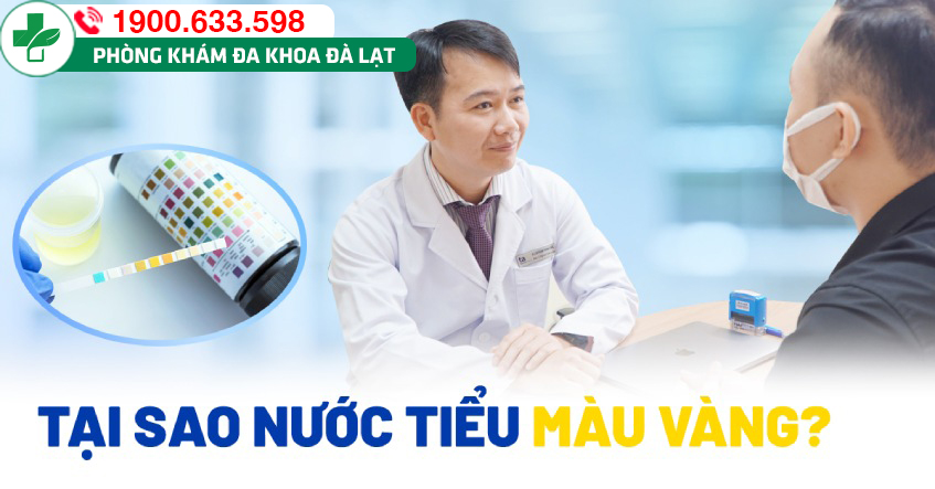 Nước tiểu có màu vàng đậm cảnh báo điều gì?