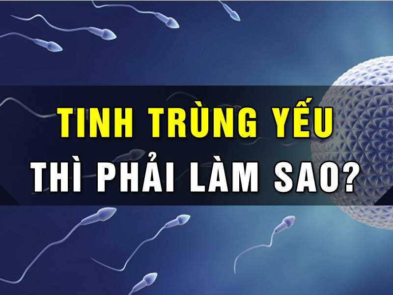 TINH TRÙNG YẾU - NGUYÊN NHÂN, TRIỆU CHỨNG VÀ CÁCH ĐIỀU TRỊ HIỆU QUẢ TẠI PHÒNG KHÁM ĐA KHOA ĐÀ LẠT 