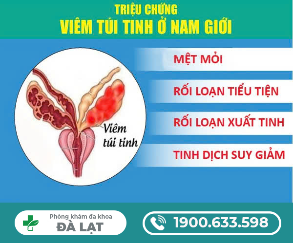 DẤU HIỆU VIÊM TÚI TINH