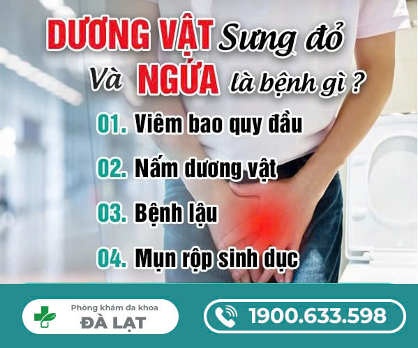 DƯƠNG VẬT BỊ SƯNG ĐỎ VÀ NGỨA DẤU HIỆU BỆNH GÌ?