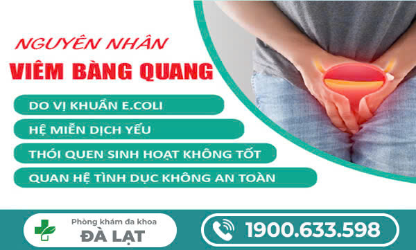 NGUYÊN NHÂN GÂY VIÊM BÀNG QUANG LÀ GÌ?