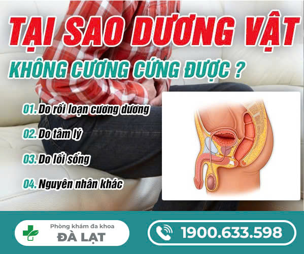 DƯƠNG VẬT KHÔNG CƯƠNG CỨNG ĐƯỢC NGUYÊN NHÂN DO ĐÂU?