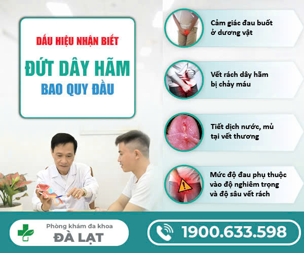 GIẢI ĐÁP:ĐỨT DÂY HÃM BAO QUY ĐẦU CÓ SAO KHÔNG?