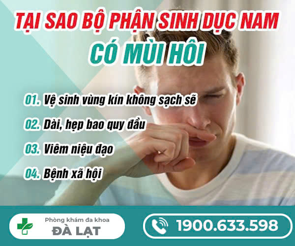 BỘ PHẬN SINH DỤC NAM CÓ MÙI HÔI: NGUYÊN NHÂN VÀ CÁCH KHẮC PHỤC