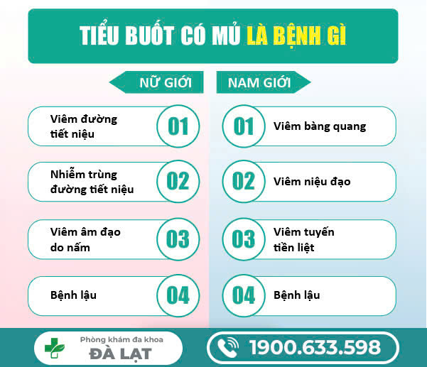 TIỂU BUỐT VÀ CÓ MỦ Ở NAM GIỚI