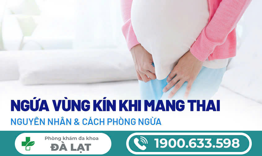 Bị Ngứa Vùng Kín Sau Sinh – Nguyên Nhân, Cách Điều Trị Tại Phòng Khám Đa Khoa Đà Lạt