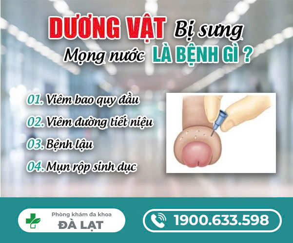 DƯƠNG VẬT BỊ SƯNG MỌNG NƯỚC CẨN THẬN BỆNH LÝ