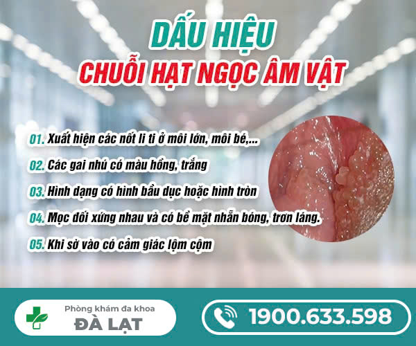 CHUỖI HẠT NGỌC ÂM VẬT LÀ GÌ?