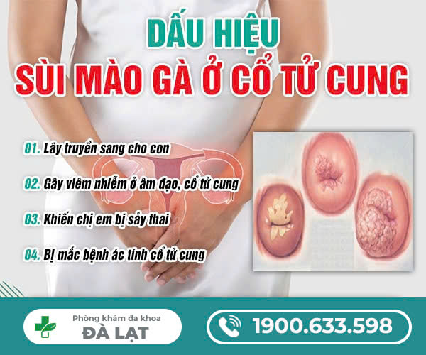 BỆNH SÙI MÀO GÀ Ở CỔ TỬ CUNG