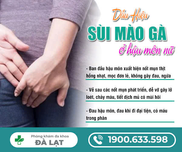 TÌM HIỂU VỀ: BỆNH SÙI MÀO GÀ Ở HẬU MÔN NỮ