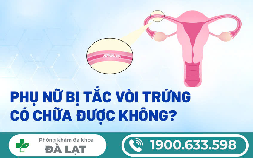 CHUYÊN ĐIỀU TRỊ VIÊM VÒI TRỨNG TẠI PHÒNG KHÁM ĐA KHOA ĐÀ LẠT