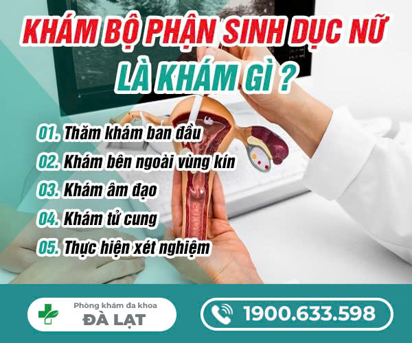 KHÁM BỘ PHẬN SINH DỤC NỮ VÀ NHỮNG ĐIỀU CẦN BIẾT