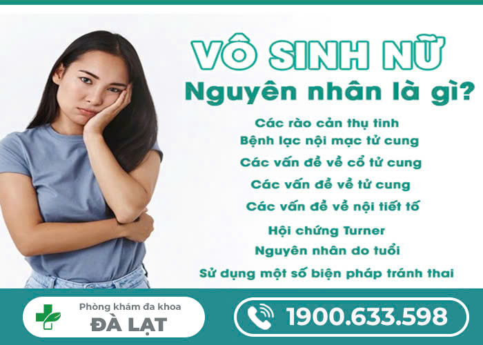 NGUYÊN NHÂN GÂY VÔ SINH Ở NỮ GIỚI.