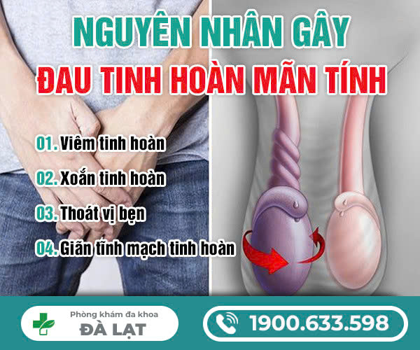 BỊ ĐAU TINH HOÀN MÃN TÍNH – NGUYÊN NHÂN LÀ DO ĐÂU?