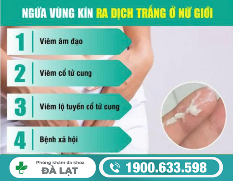 NGỨA VÙNG KÍN RA DỊCH TRẮNG CẢNH BÁO BỆNH LÝ GÌ?
