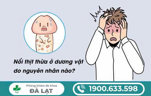 THỊT THỪA Ở DƯƠNG VẬT VÀ CÁCH ĐIỀU TRỊ 