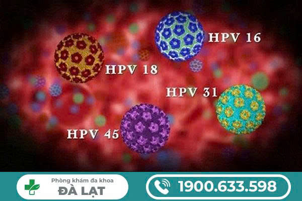 CÁC NGUYÊN NHÂN DỄ THẤY GÂY NÊN NHIỄM VIRUS HPV 