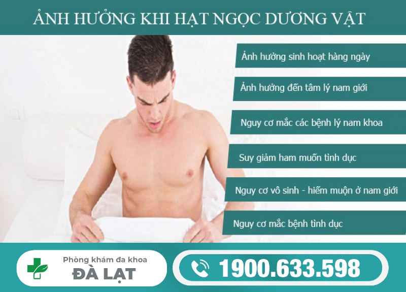 BỊ HẠT NGỌC DƯƠNG VẬT CÓ SAO KHÔNG?