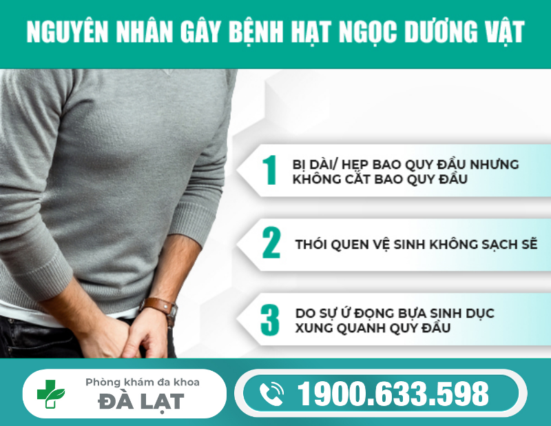BỆNH HẠT NGỌC Ở DƯƠNG VẬT