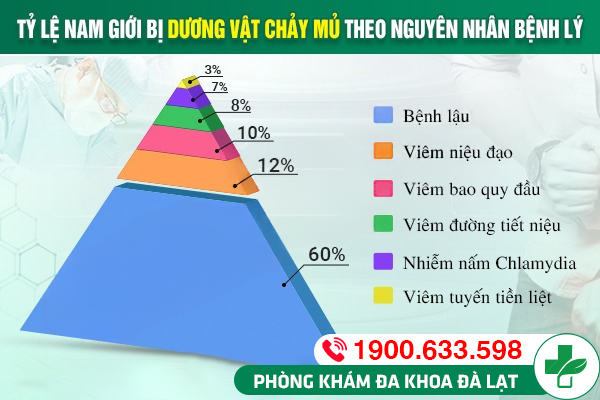 TÌM HIỂU: DƯƠNG VẬT ĐAU BUỐT CHẢY MỦ 