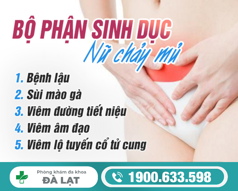 TÌM HIỂU VỀ BỘ PHẬN SINH DỤC NỮ CHẢY MỦ