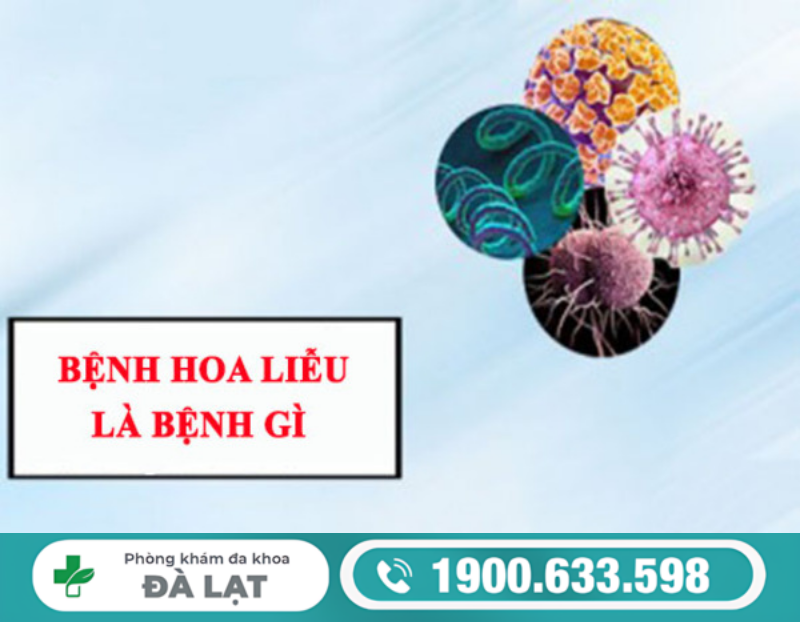 GIẢI ĐÁP: BỆNH HOA LIỄU LÀ GÌ?