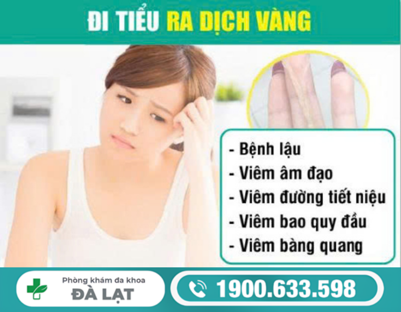 VÙNG KÍN RA DỊCH VÀNG: NGUYÊN NHÂN BỆNH LÝ VÀ CÁCH ĐIỀU TRỊ HIỆU QUẢ 